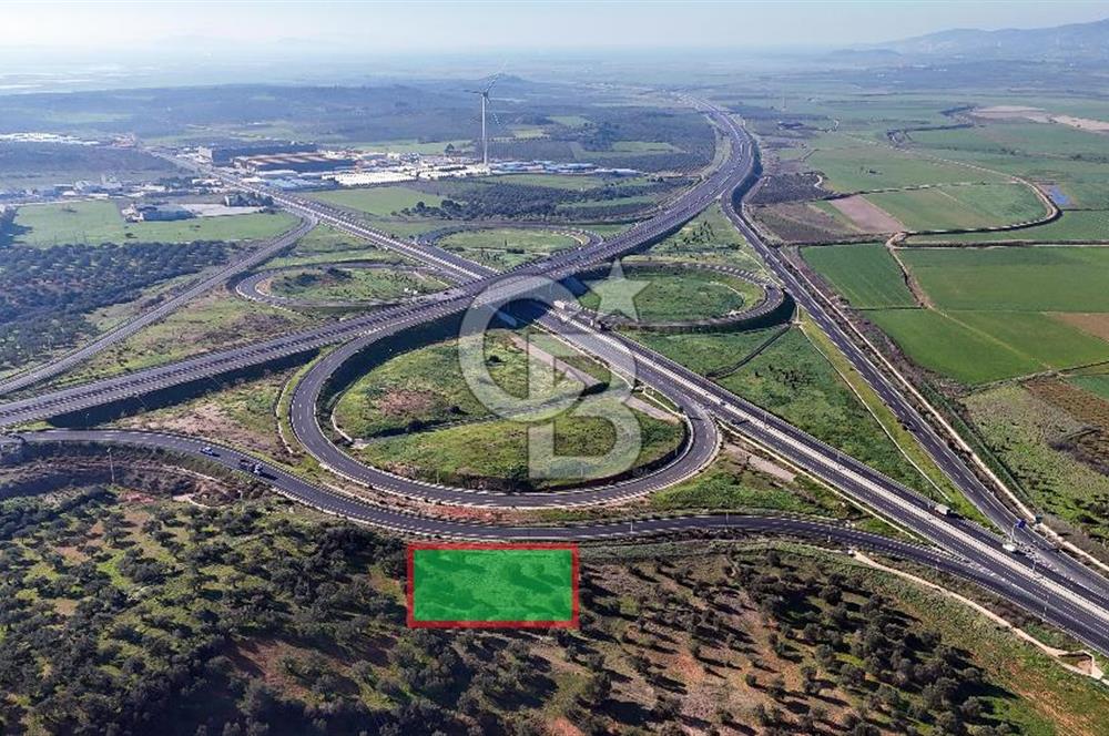 İzmir Bergama Zeytindağ'da Liman Bölgesi Satılık Fırsat Zeytinlik