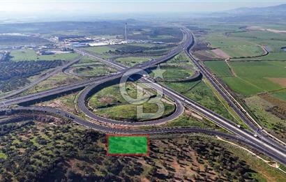 İzmir Bergama Zeytindağ'da Liman Bölgesi Satılık Fırsat Zeytinlik