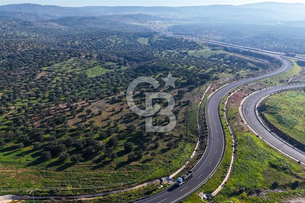 İzmir Bergama Zeytindağ'da Liman Bölgesi Satılık Fırsat Zeytinlik