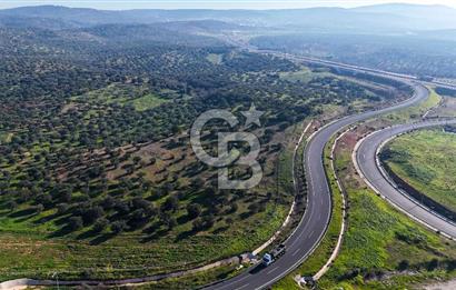 İzmir Bergama Zeytindağ'da Liman Bölgesi Satılık Fırsat Zeytinlik