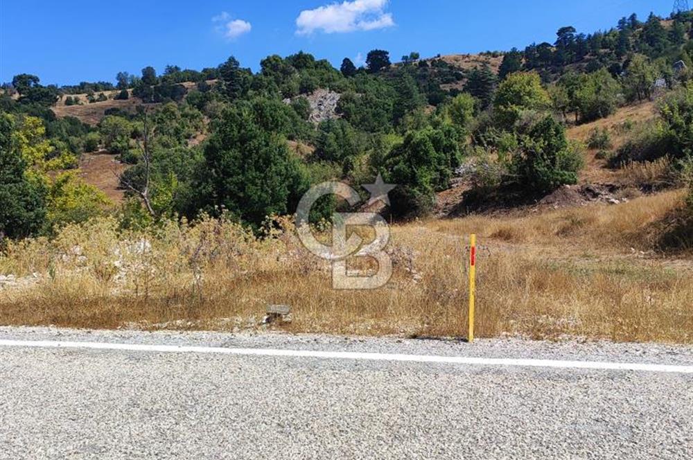 Yatırım Fırsatı,KEMER Ovacık, Anayol Üzeri Tarla