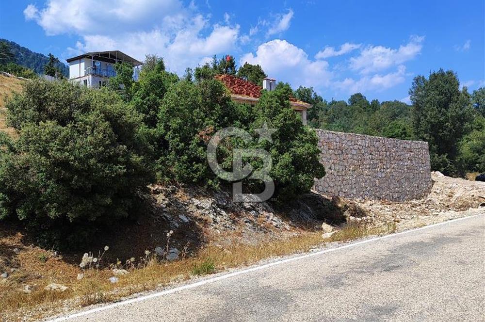 Yatırım Fırsatı,KEMER Ovacık, Anayol Üzeri Tarla