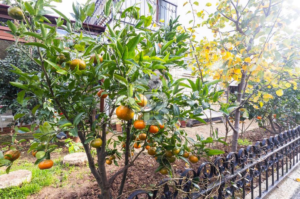 TUZLA MERCAN’DA İŞ YERİNE UYGUN KİRALIK VİLLA