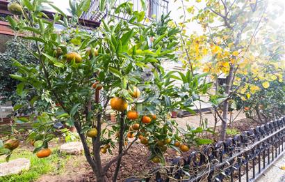 TUZLA MERCAN’DA İŞ YERİNE UYGUN KİRALIK VİLLA