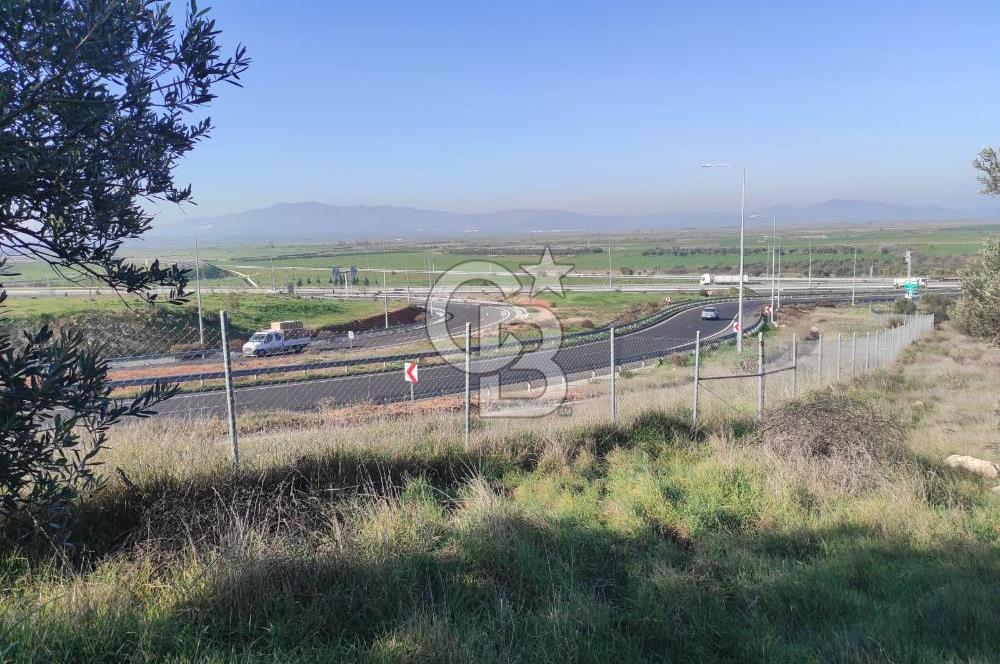 İzmir Bergama Zeytindağ'da Liman Bölgesi Satılık Fırsat Zeytinlik