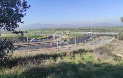 İzmir Bergama Zeytindağ'da Liman Bölgesi Satılık Fırsat Zeytinlik