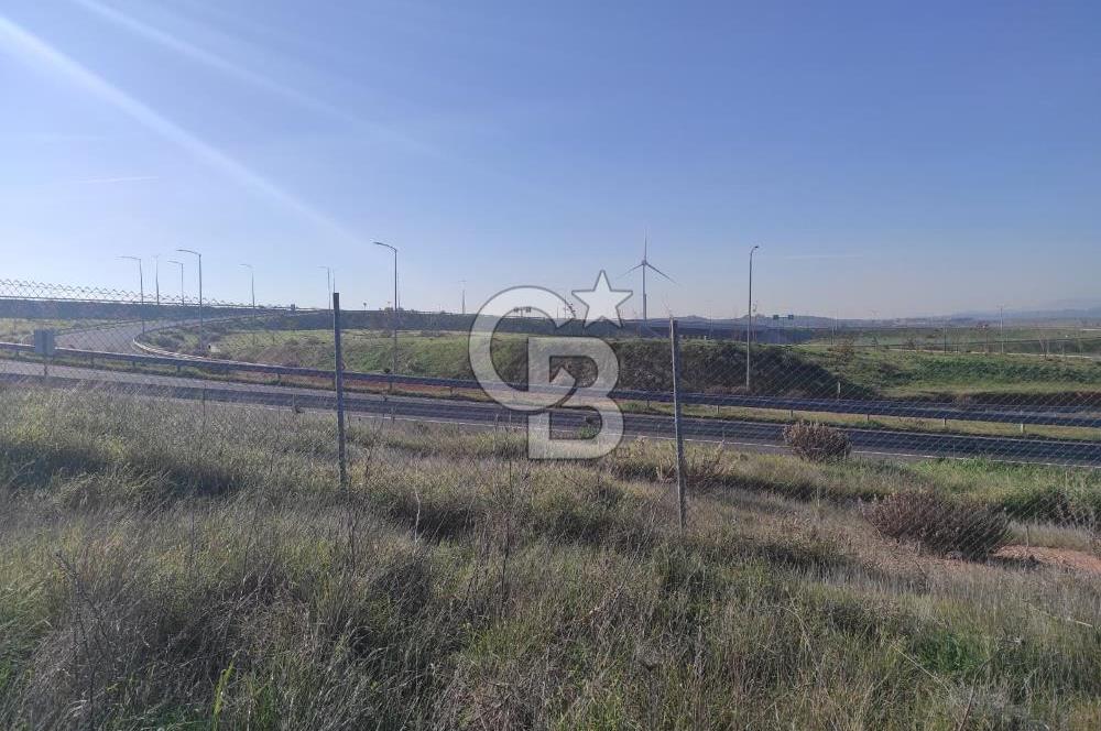 İzmir Bergama Zeytindağ'da Liman Bölgesi Satılık Fırsat Zeytinlik