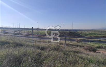 İzmir Bergama Zeytindağ'da Liman Bölgesi Satılık Fırsat Zeytinlik