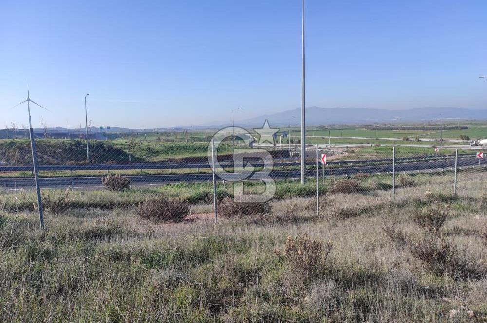 İzmir Bergama Zeytindağ'da Liman Bölgesi Satılık Fırsat Zeytinlik