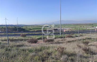 İzmir Bergama Zeytindağ'da Liman Bölgesi Satılık Fırsat Zeytinlik
