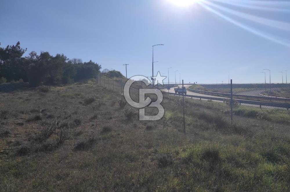 İzmir Bergama Zeytindağ'da Liman Bölgesi Satılık Fırsat Zeytinlik