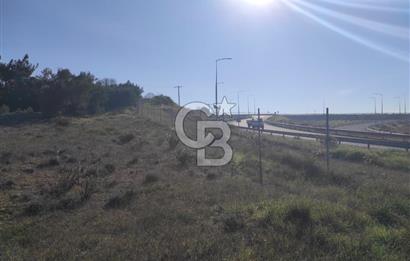 İzmir Bergama Zeytindağ'da Liman Bölgesi Satılık Fırsat Zeytinlik