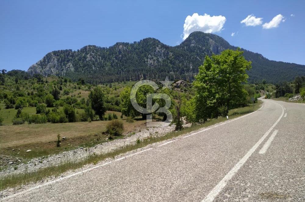 Yatırım Fırsatı,KEMER Ovacık, Anayol Üzeri Tarla