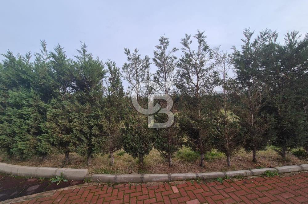 MUSELAND-TURGUTLU-LIFE CITY SATILIK 2+1 DAİRE