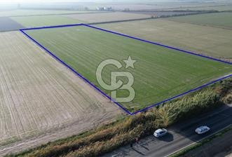 MENEMEN MUSABEY KÖYÜN'DE SATILIK 15479 M² TARLA - 4 - 322004