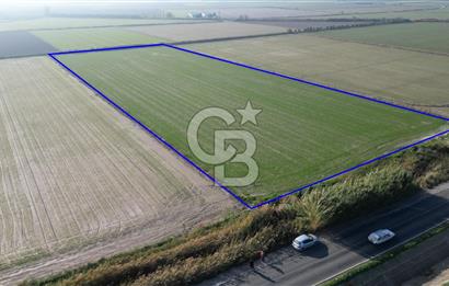 MENEMEN MUSABEY KÖYÜN'DE SATILIK 15479 M² TARLA