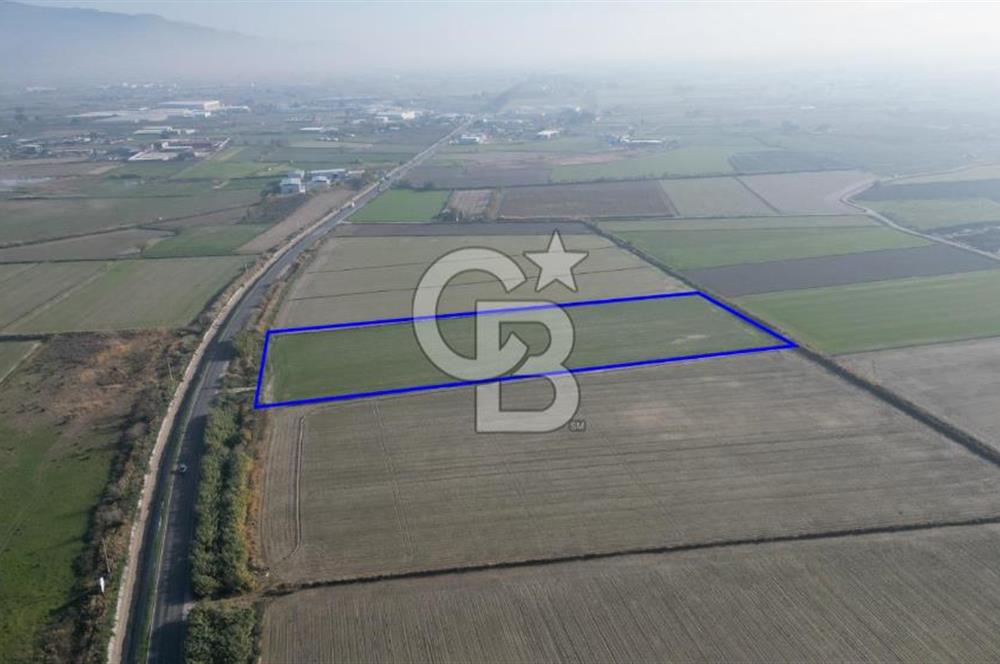 MENEMEN MUSABEY KÖYÜN'DE SATILIK 15479 M² TARLA