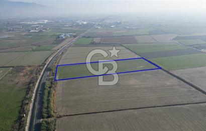 MENEMEN MUSABEY KÖYÜN'DE SATILIK 15479 M² TARLA