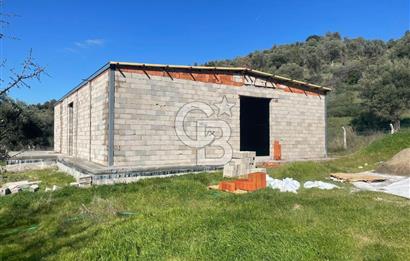 Güzelbahçe' Ana Yola Yakın Kiralık 5 Dönüm Tarla