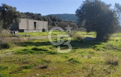 Güzelbahçe' Ana Yola Yakın Kiralık 5 Dönüm Tarla