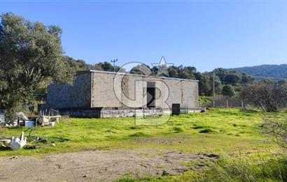 Güzelbahçe' Ana Yola Yakın Kiralık 5 Dönüm Tarla