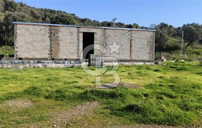 Güzelbahçe' Ana Yola Yakın Kiralık 5 Dönüm Tarla