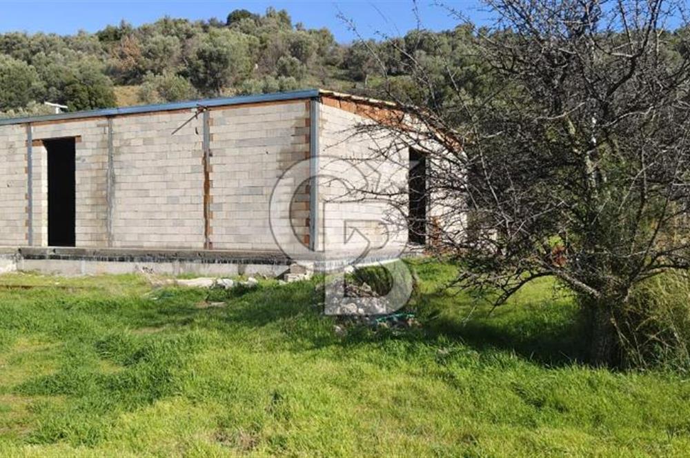 Güzelbahçe' Ana Yola Yakın Kiralık 5 Dönüm Tarla