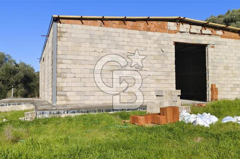 Güzelbahçe' Ana Yola Yakın Kiralık 5 Dönüm Tarla