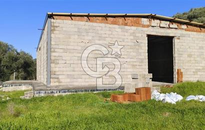 Güzelbahçe' Ana Yola Yakın Kiralık 5 Dönüm Tarla