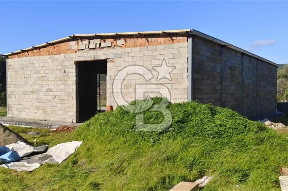 Güzelbahçe' Ana Yola Yakın Kiralık 5 Dönüm Tarla