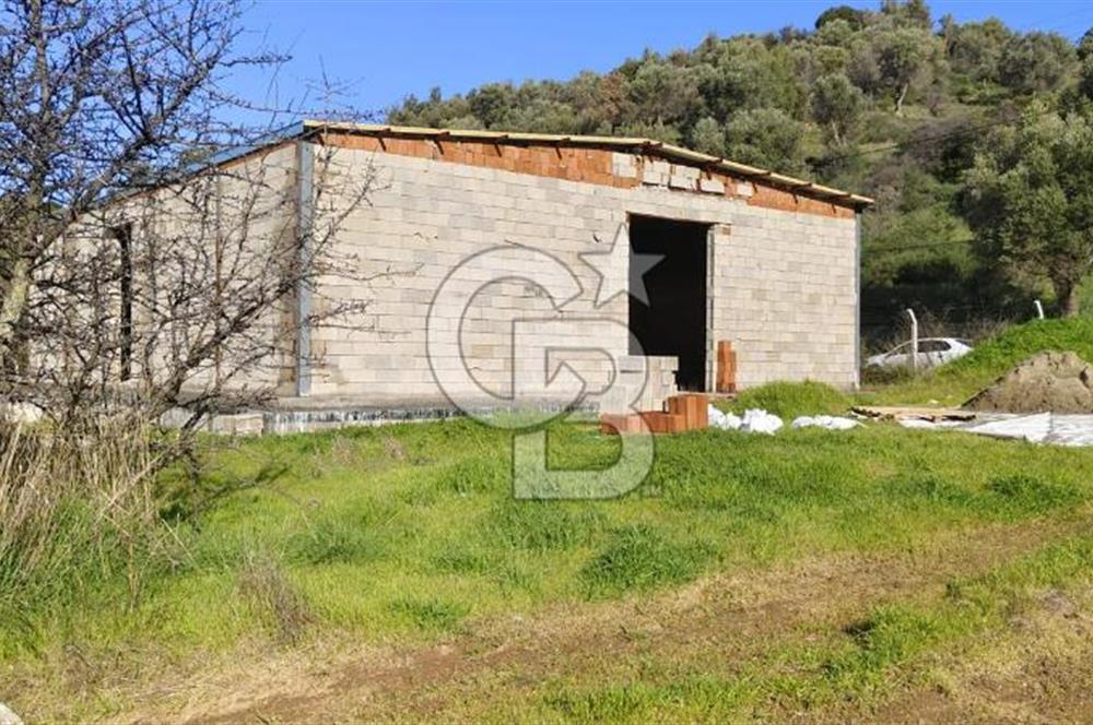 Güzelbahçe' Ana Yola Yakın Kiralık 5 Dönüm Tarla