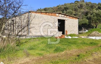 Güzelbahçe' Ana Yola Yakın Kiralık 5 Dönüm Tarla