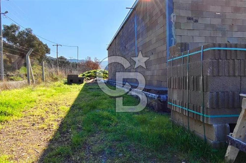 Güzelbahçe' Ana Yola Yakın Kiralık 5 Dönüm Tarla