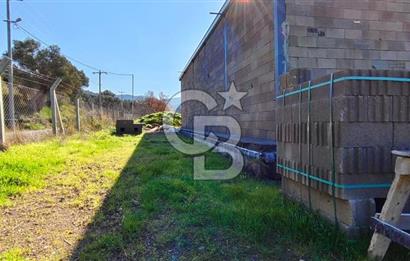 Güzelbahçe' Ana Yola Yakın Kiralık 5 Dönüm Tarla