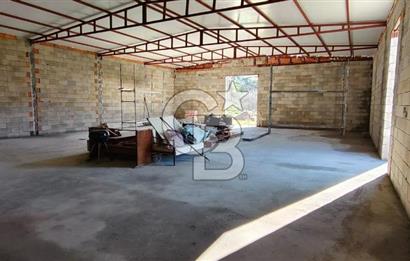 Güzelbahçe' Ana Yola Yakın Kiralık 5 Dönüm Tarla