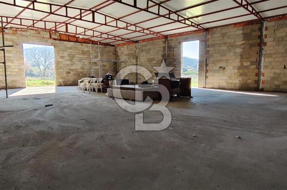 Güzelbahçe' Ana Yola Yakın Kiralık 5 Dönüm Tarla