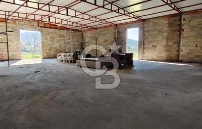 Güzelbahçe' Ana Yola Yakın Kiralık 5 Dönüm Tarla