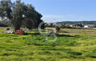 Güzelbahçe' Ana Yola Yakın Kiralık 5 Dönüm Tarla