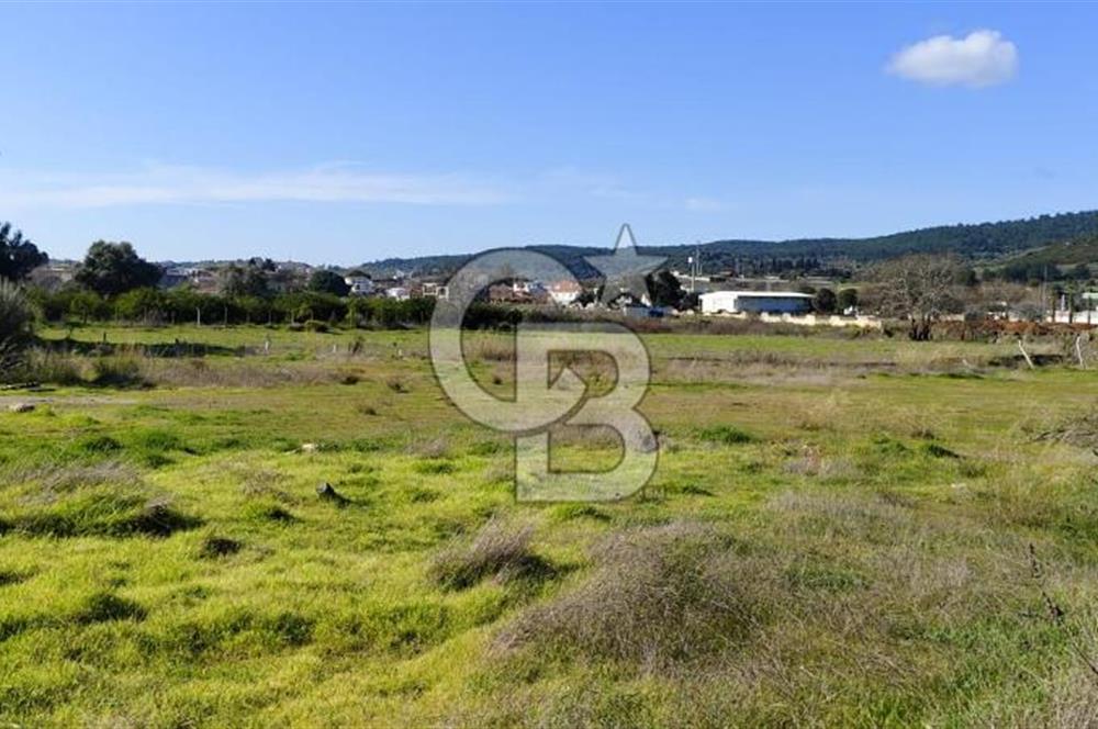 Güzelbahçe' Ana Yola Yakın Kiralık 5 Dönüm Tarla