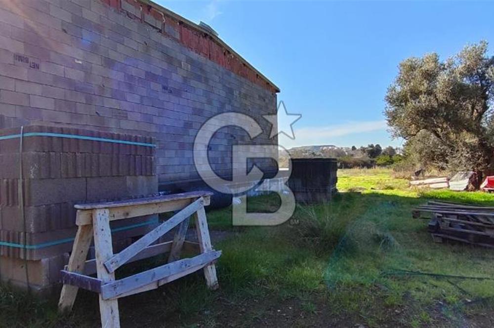 Güzelbahçe' Ana Yola Yakın Kiralık 5 Dönüm Tarla