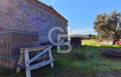 Güzelbahçe' Ana Yola Yakın Kiralık 5 Dönüm Tarla