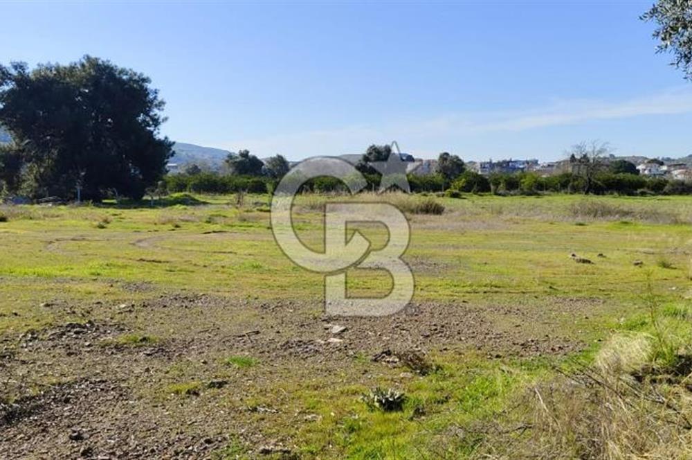 Güzelbahçe' Ana Yola Yakın Kiralık 5 Dönüm Tarla