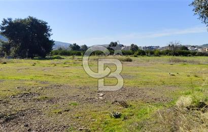 Güzelbahçe' Ana Yola Yakın Kiralık 5 Dönüm Tarla