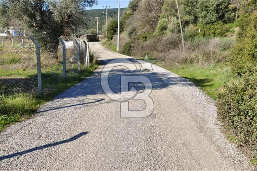 Güzelbahçe' Ana Yola Yakın Kiralık 5 Dönüm Tarla