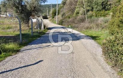 Güzelbahçe' Ana Yola Yakın Kiralık 5 Dönüm Tarla