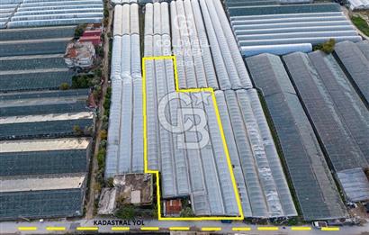 CB ARDEN'DEN DEMRE KARABUCAK SATILIK 2700 M2 SERA VE ORTAK EVİ