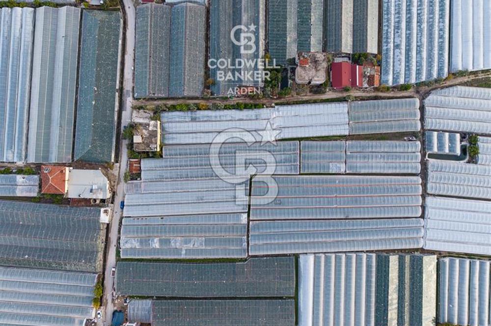 CB ARDEN'DEN DEMRE KARABUCAK SATILIK 2700 M2 SERA VE ORTAK EVİ