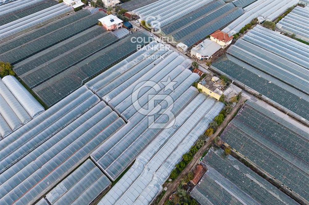 CB ARDEN'DEN DEMRE KARABUCAK SATILIK 2700 M2 SERA VE ORTAK EVİ