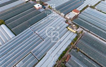 CB ARDEN'DEN DEMRE KARABUCAK SATILIK 2700 M2 SERA VE ORTAK EVİ