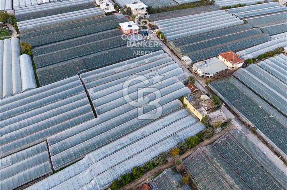 CB ARDEN'DEN DEMRE KARABUCAK SATILIK 2700 M2 SERA VE ORTAK EVİ